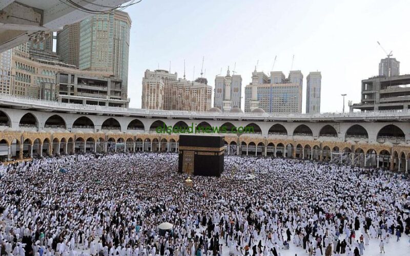 خدمة الأجير ورعاية الأطفال لتسهيل رحلة ضيوف الرحمن بمنصة أجير