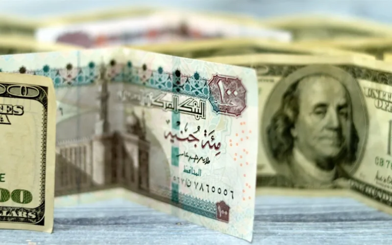 استقرار سعر الدولار في البنوك المصرية اليوم الأحد