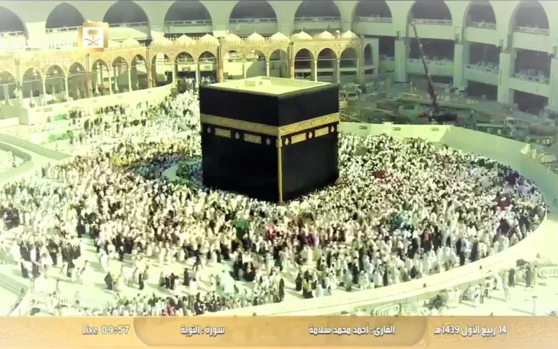 رابط قناة القران الكريم مباشر 2025 – 1446