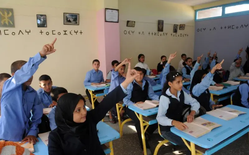 نتائج السادس الابتدائي 2025 الدور الاول في العراق